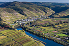 Mosel bei Neef